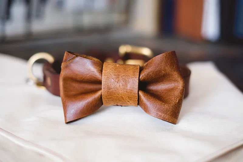 DogVision_DIY LEATHER BOW-TIE