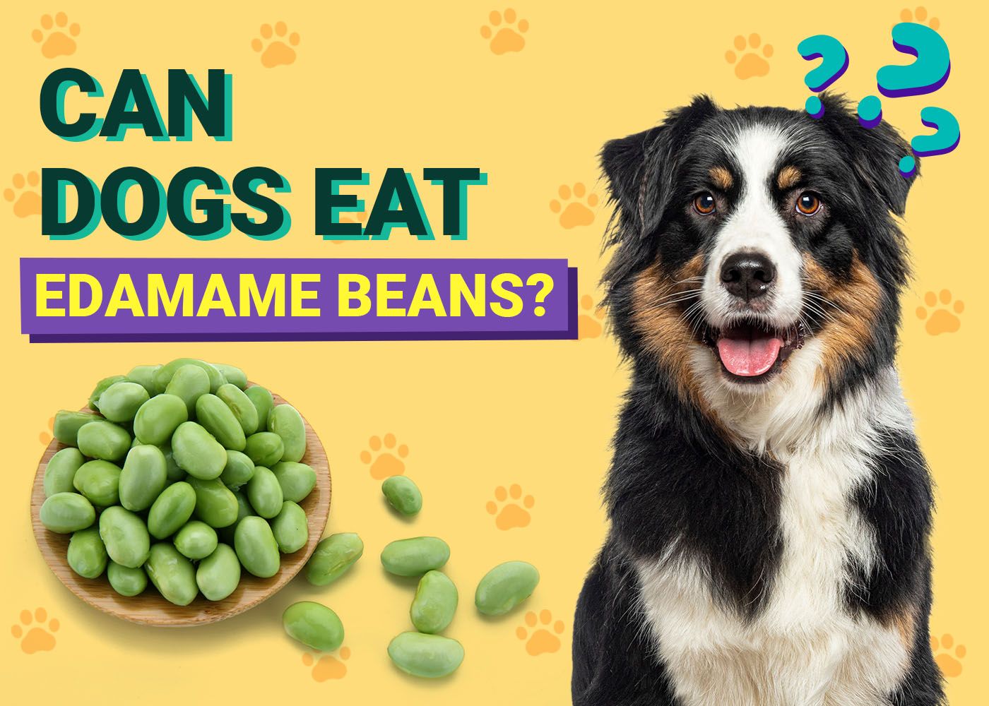 Dogster-Can-Dogs-Eat-Edamame Beans