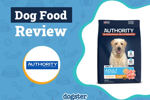 Authority Dog Food Review 2026: Pros, Cons, Recalls & FAQ