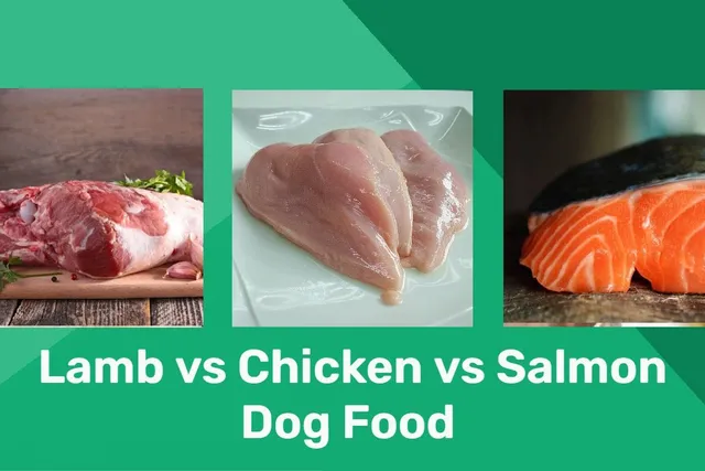 Lamb vs. Chicken vs. Salmon Dog Food: Pros, Cons & Differences