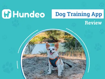 Hundeo Dog Training App Review 2026: An Expert’s Breakdown
