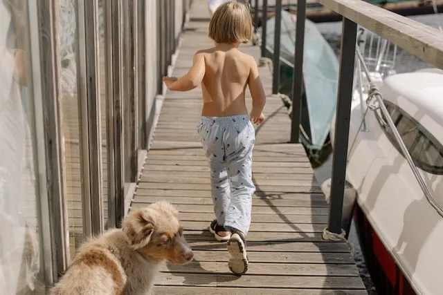 Why Does My Australian Shepherd Follow Me Everywhere? 4 Reasons & Tips to Prevent It