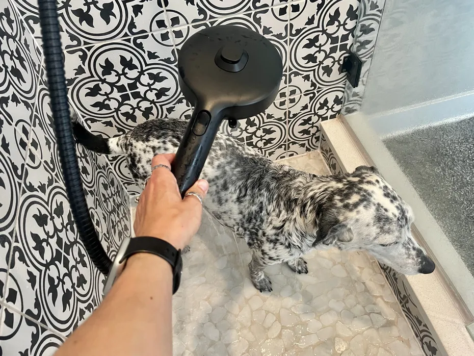 DOG_SAPR_Brondell Dog Shower Head