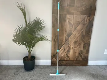 Fido Fave Dual-Sided Pet Hair Removal Carpet Rake Review 2026: Our Expert’s Opinion