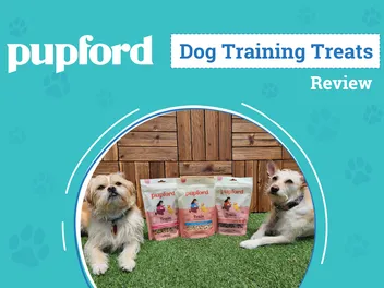 Pupford Dog Training Treats Review: An Expert’s Breakdown