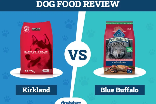 Kirkland vs Blue Buffalo Dog Food Comparison 2026: Which Is Better?