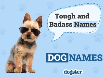 100+ Tough & Badass Dog Names: Popular Options for Your Protector