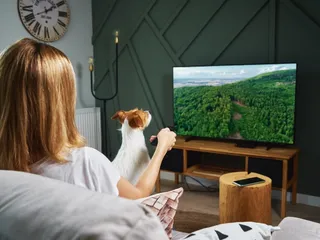 Do Dogs Like to Watch TV? Vet-Approved Facts & FAQ