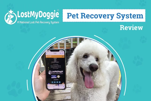 Lost My Doggie Pet Recovery System Review 2026: An Expert's Breakdown
