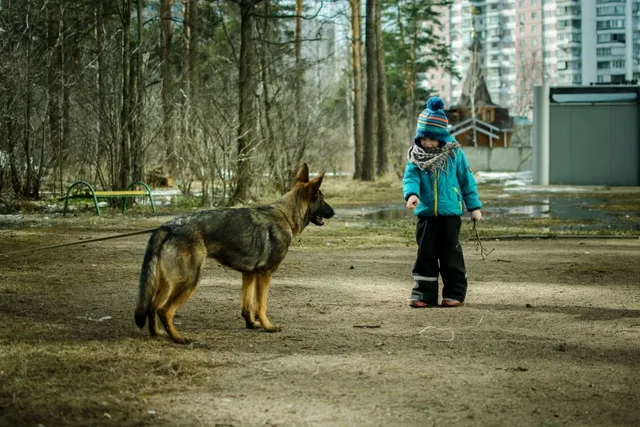 Why Does My Dog Bark at Kids? 6 Likely Reasons