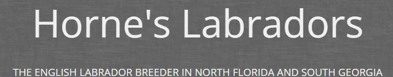 Horne’s Labradors