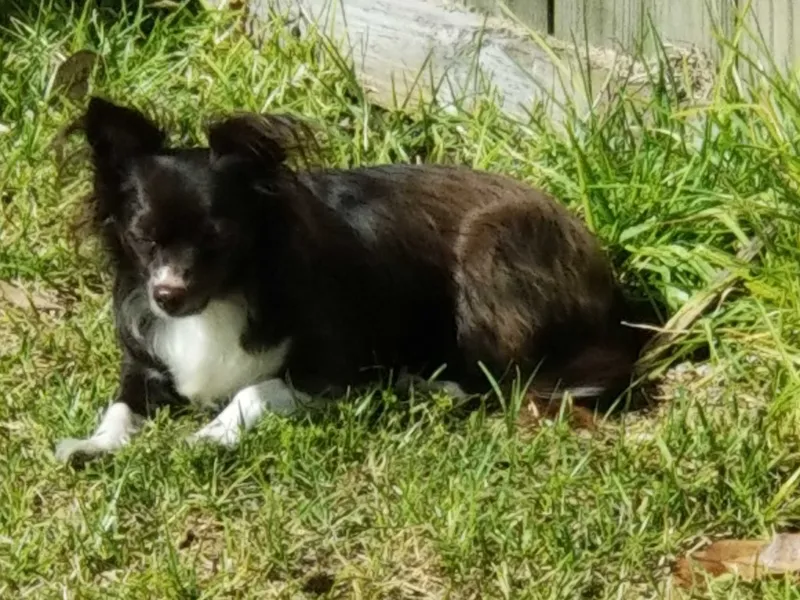 Sunshine naps are the best.