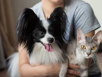 14 Labor Day Weekend Safety Tips for Pets (2026 Guide)