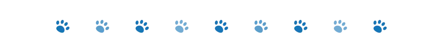 divider dog paws 2 oct 2024