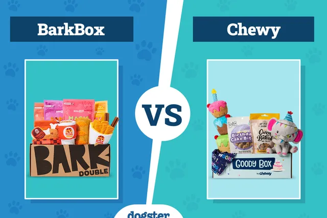 BarkBox vs Chewy Dog Subscription Box: Complete Comparison 2026 Update