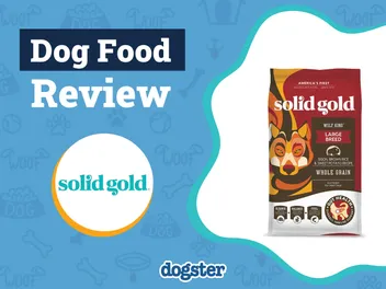 Solid Gold Dog Food Review 2026: Recalls, Pros, Cons, & FAQ