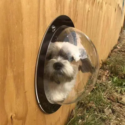 BobbyPet Dog Fence Window