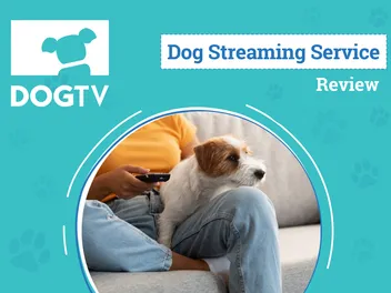 DOGTV Review 2026: Our Expert’s Opinion: Pros, Cons & Verdict