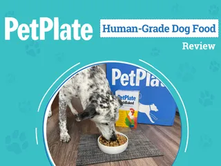 PetPlate Dog Food & Supplement Subscription Review 2026: Door Delivery For Your Pup Made Fresh