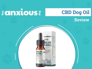 The Anxious Pet Full Spectrum Hemp Oil for Dogs Review 2026: Our Expert’s Opinion