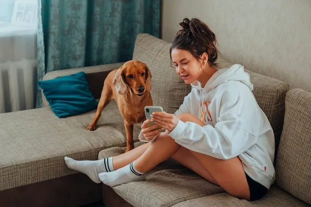 Social Media for Dog Owners in 2026: 5 Apps for Our Furry Friends