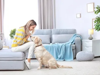 How to Start a Pet-Sitting Business in 11 Steps (2026 Guide)