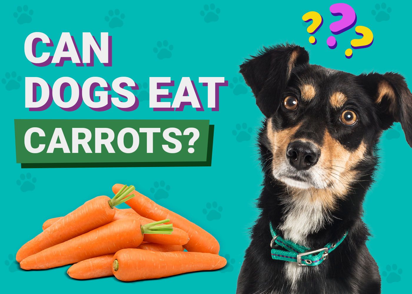 Can Dogs Eat Carrots