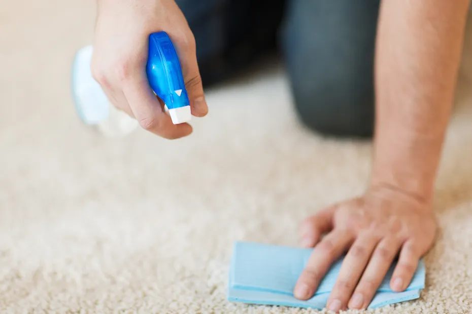 woman spray cleaning the carpet