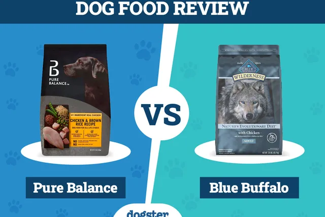 Pure Balance vs Blue Buffalo Dog Food: Our 2026 Comparison