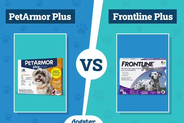 PetArmor Plus vs Frontline Plus Flea Treatment: The Differences (Vet Answer)