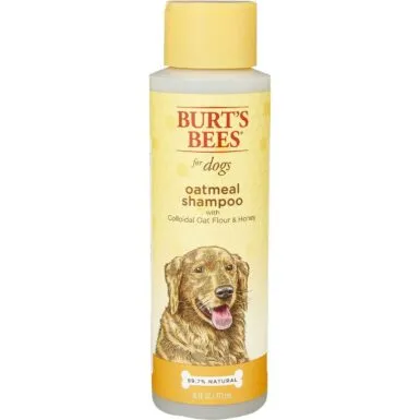 Burt's Bees Oatmeal with Colloidal Oat Flour &amp; Honey Dog Shampoo