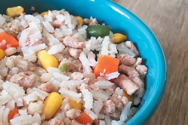 Dog-friendly Turkey-Rice Casserole.