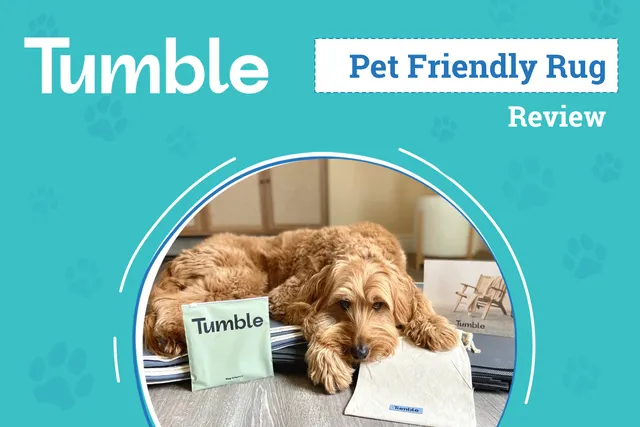 Tumble Rug Review 2026: An Expert’s Breakdown