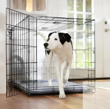 FRISCO Fold &amp; Carry Single Door Collapsible Wire Dog Crate, X-Large