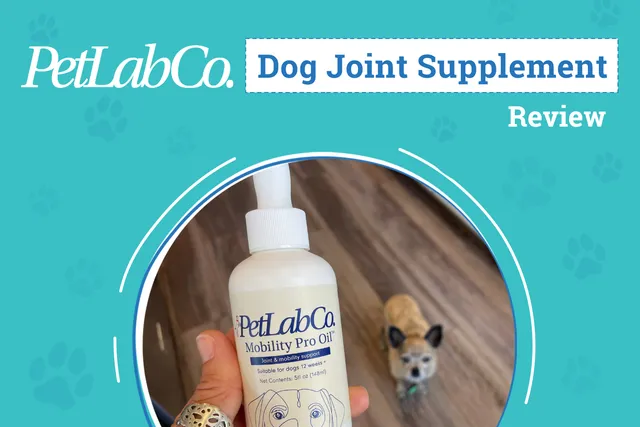 PetLab Co. Mobility Pro Oil Review 2026: An Expert’s Breakdown