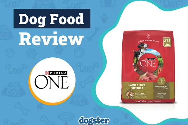 Purina One Lamb and Rice Dog Food Review 2026: Recalls, Pros & Cons