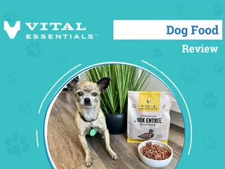 Vital Essentials Dog Food Review 2026: An Expert's Breakdown