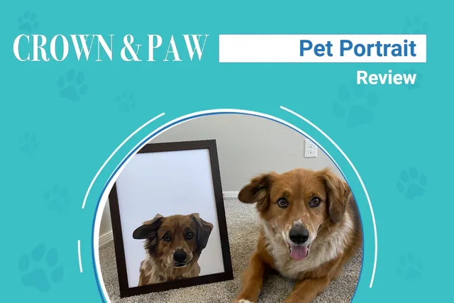 Crown & Paw Pet Portraits Review 2026: An Expert's Breakdown