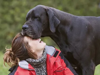 Do Dogs Know You Love Them? Here’s How to Tell