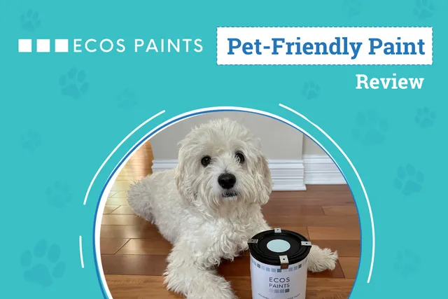 ECOS Pet-Friendly Paint Review 2026: An Expert's Breakdown