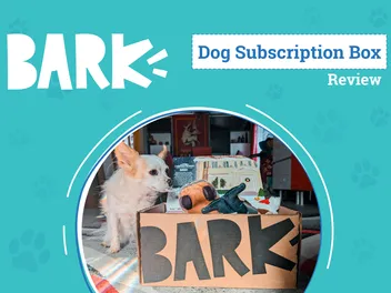BarkBox Subscription Review 2026: Keeping Your Dog Excited Month After Month