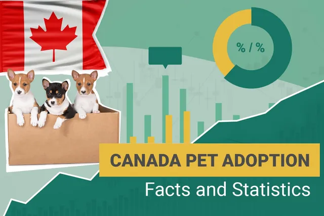 10 Canada Pet Adoption Statistics & Facts to Know in 2026