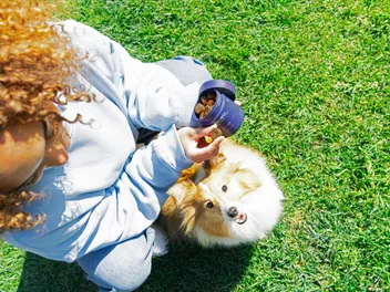 Guide to Probiotics for Dogs: What They Do & How to Choose