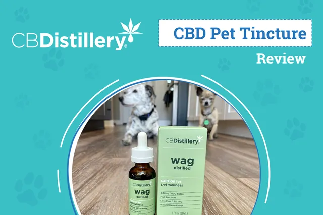 CBDistillery Wag CBD Pet Tincture Review 2026: An Expert’s Breakdown