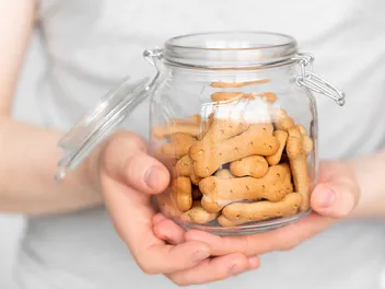 Can Dogs Eat Scooby Snacks? Vet-Verified Nutrition Facts