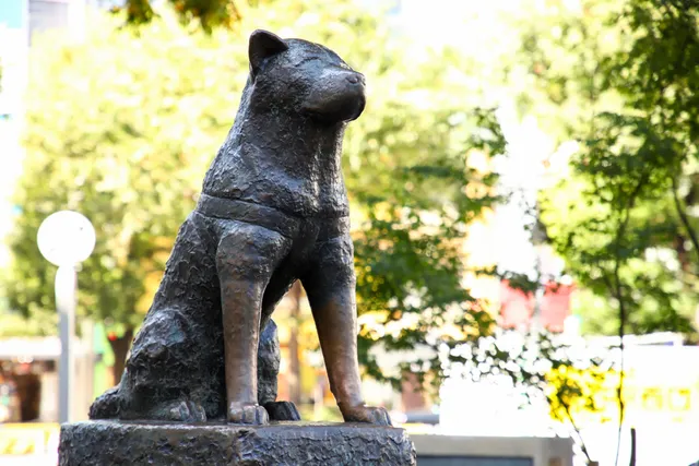 10 Famous Dog Statues From Around the World (2026 Update)
