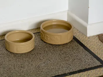 6 Best Dog Food Mats in 2026 - Reviews & Top Picks