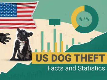 12 Dognapping & Dog Theft Statistics to Know in 2026