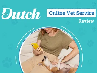 Dutch Online Veterinarian Service Review 2026: An Expert's Breakdown