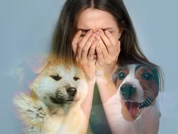 Cynophobia: Why Are Some People Afraid of Dogs? Vet-Reviewed Facts